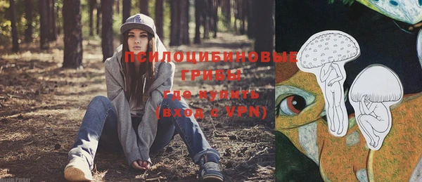 таблы Алексин