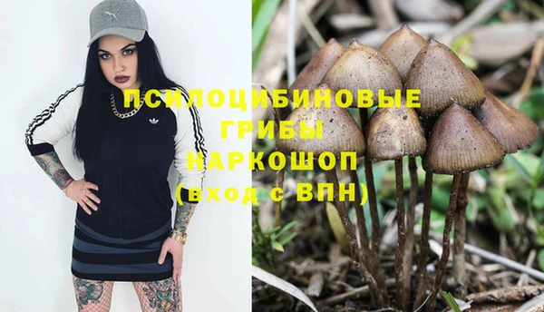 прущие крисы Алексеевка