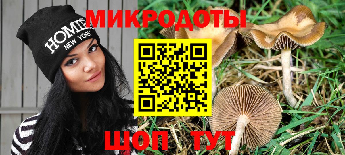 Псилоцибиновые грибы Psilocybe  Вход с VPN  Галлюциногенные грибы мицелий  Протвино 