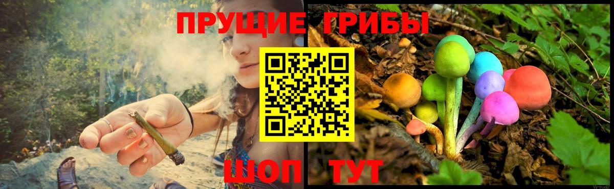 Псилоцибиновые грибы мицелий Протвино